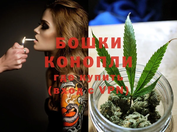 прущая мука Няндома