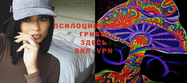 ECSTASY Нязепетровск