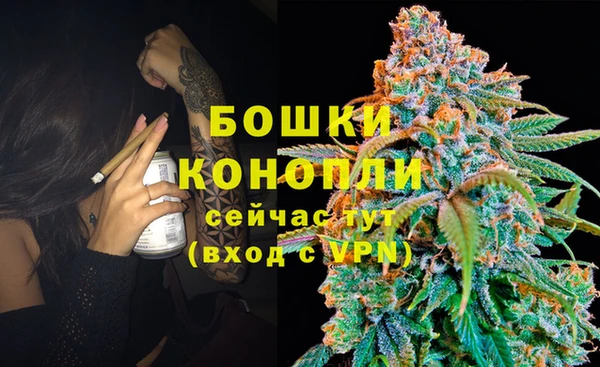 прущая мука Няндома