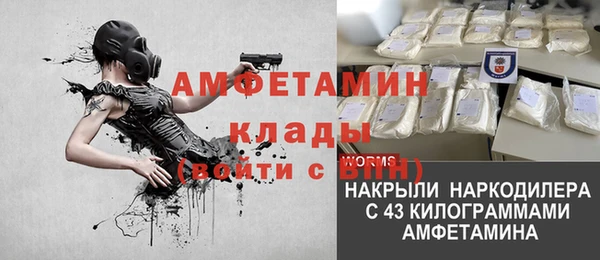 прущая мука Няндома