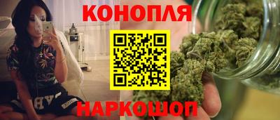 индика Пугачёв